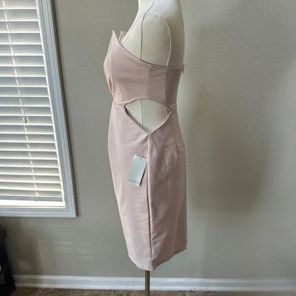 NWT Tobi Into The Night Strapless Dress in Blush - Picture 3 of 10
